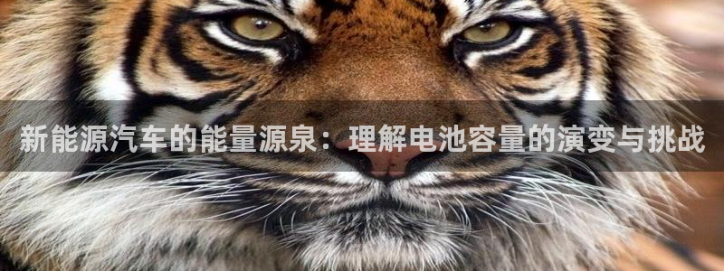 优发娱乐官网地址