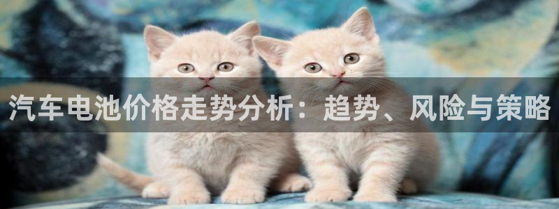 优发国际随优而动一触即发