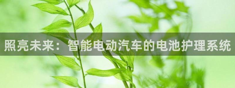 优发国际官网手