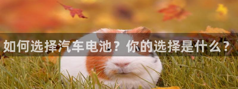 优发国际手机版官网下载