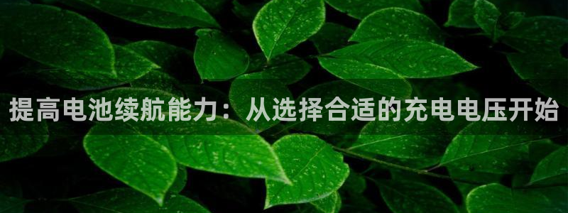 优发国际手机app下载安装