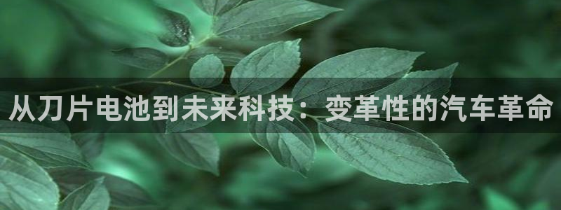 优发国际平台u8：从刀片电池到未来科技：变革性的汽车革命