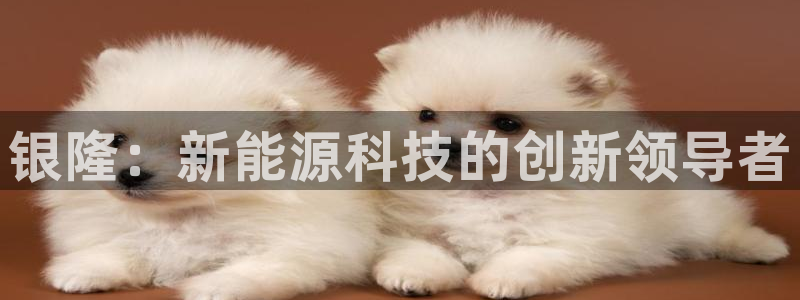 优发国际网官网17o8：银隆：新能源科技的创新领导者