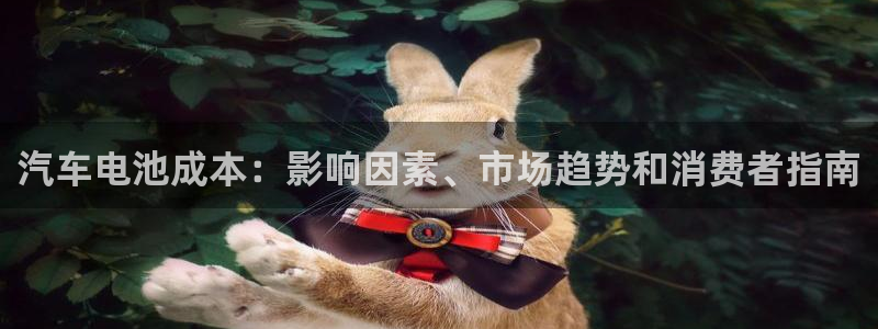 优发国际注册平台怎么样：汽车电池成本：影响因素、市场趋势和消费者指南