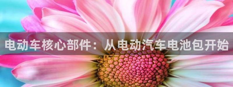 优发国际官网手：电动车核心部件：从电动汽车电池包开始