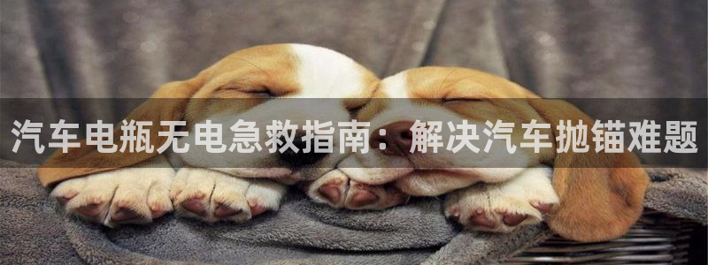 优发国际网官