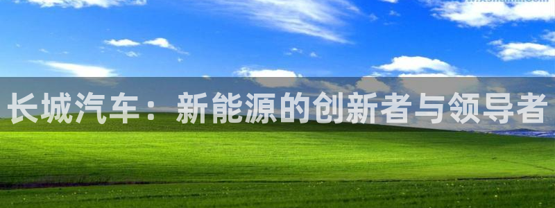 优发国际手机版网站下载：长城汽车：新能源的创新者与领导者