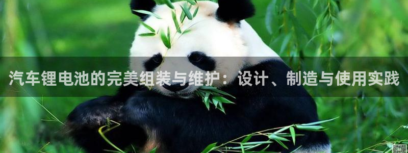 优发国际游戏17：汽车锂电池的完美组装与维护：设计、制造与使用实践