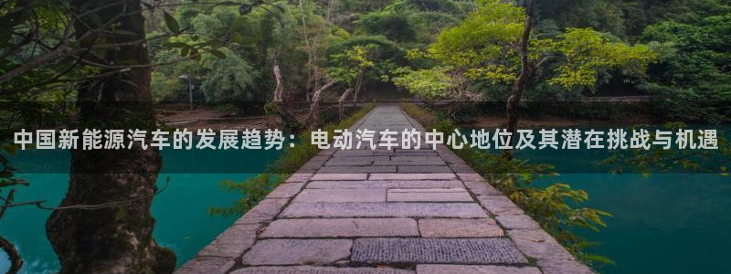 优发国际网站官网：中国新能源汽车的发展趋