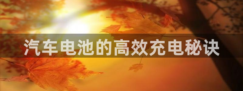 优发国际手机安装登录失败：汽车电池的高效充电秘诀