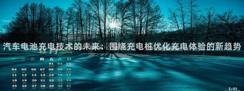 优发国际平台app下载安装：汽车电池充电