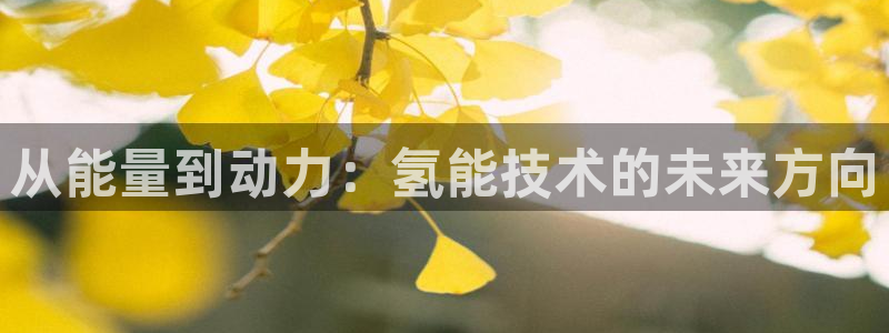 优发国际安卓版下载安装苹果：从能量到动力