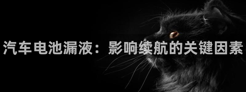 优发国际不出款怎么办