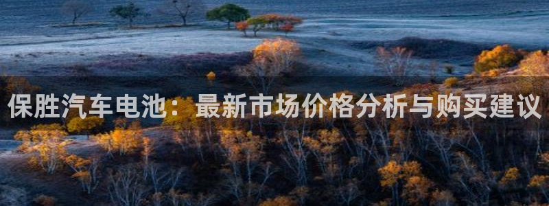 优发国际手机客户端下载安装不了：保胜汽车电池：最新市场价格分析与购买建议