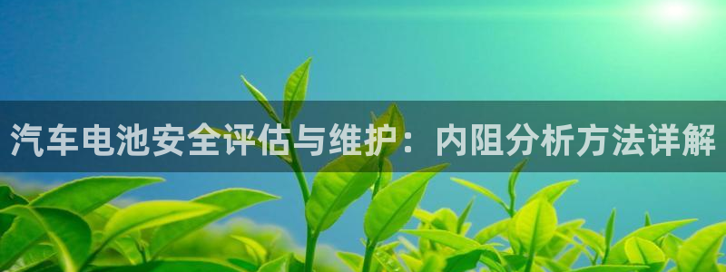 优发国际app登录密码：汽车电池安全评估与维护：内阻分析方法详解