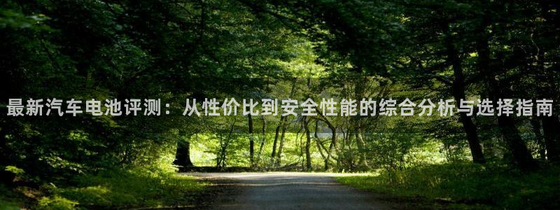 优发国际手机客户端官网下载：最新汽车电池评测：从性价比到安全性能的综合分析与选择指南